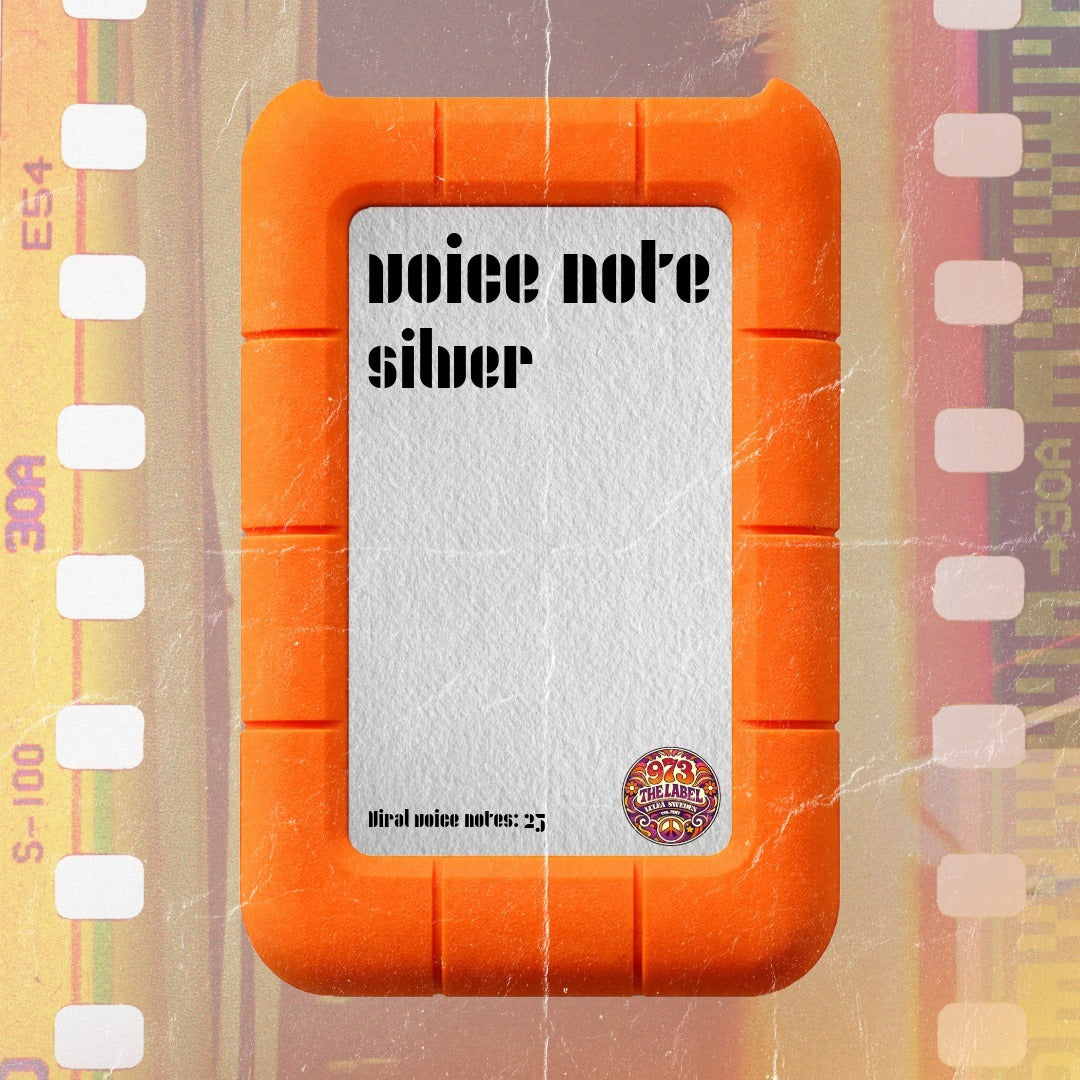VIRAL VOICE NOTE SILVER KIT