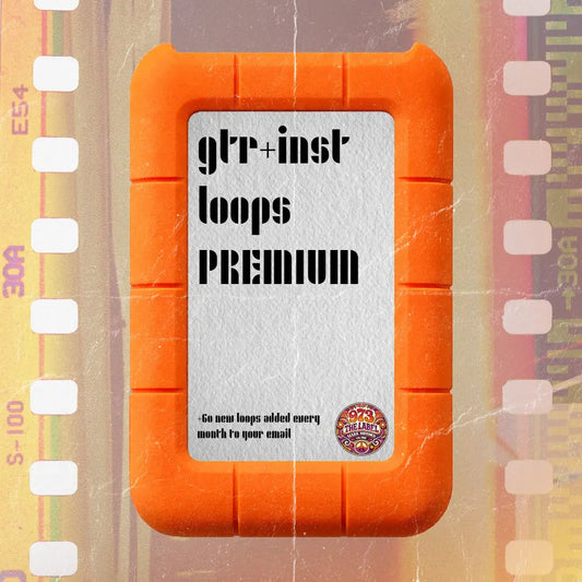 GUITAR + INSTRUMENT LOOPS (MONTHLY 0,5$/loop) 973 The Label
